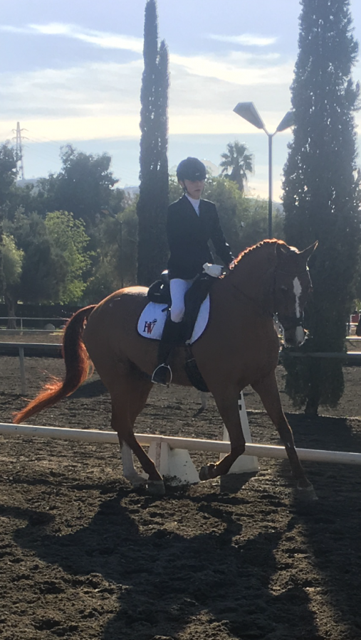 Sophia+Ekstrand+%E2%80%9920+and+her+horse+Esteban+compete.+With+Esteban%2C+she+competes+at+the+varsity+level+and+placed+third+overall+in+the+team%E2%80%99s+third+competition.+She+finished+with+96+points.+Printed+with+the+permission+of+Sophia+Ekstrand.