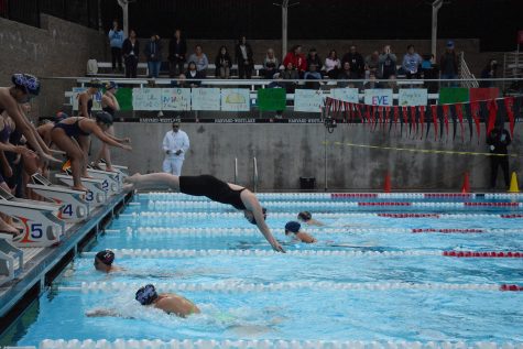Lee Nichols 20 dives into the pool during a relay for the Wolverines. Credit: Luke Casola/Chronicle