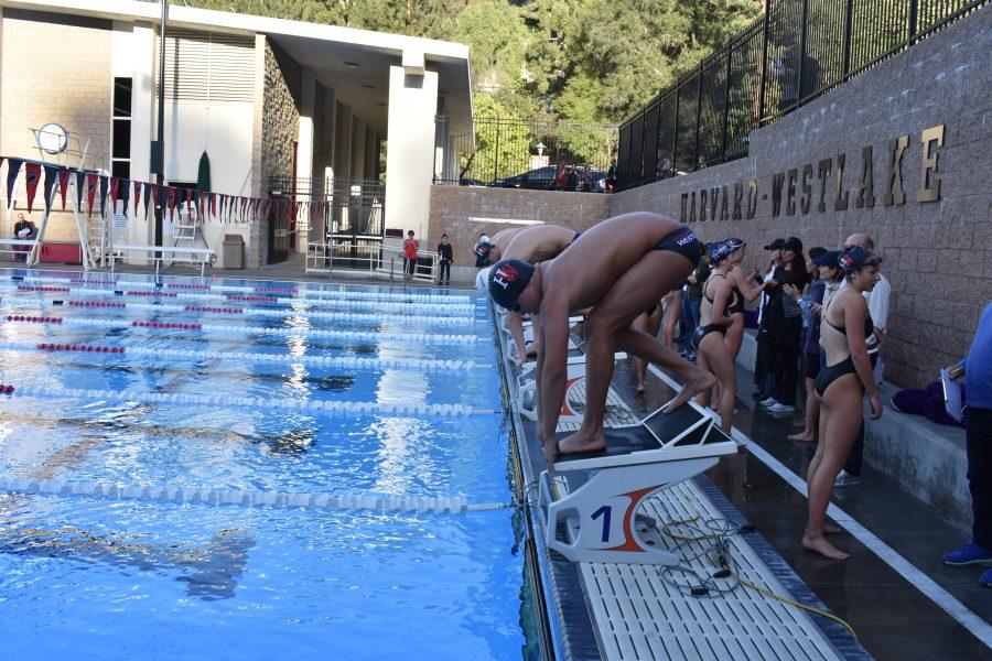 Alex+Bucur+19+prepares+to+dive+into+the+pool+during+the+meet+against+Crespi+on+March+6.+Photo+credit%3A+Luke+Casola%2FChronicle