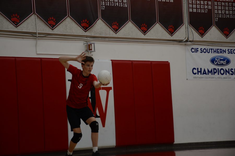 Serve em up!: Setter Will Mallory '20 prepares to serve the ball. Credit: Jackie Greenberg/Chronicle