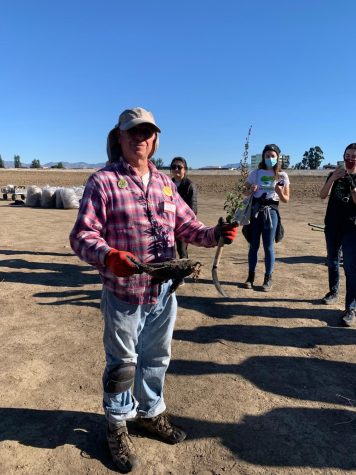George Wodell, a volunteer at the California Native Plant Society, explains to volunteers how to pull invasive weeds.