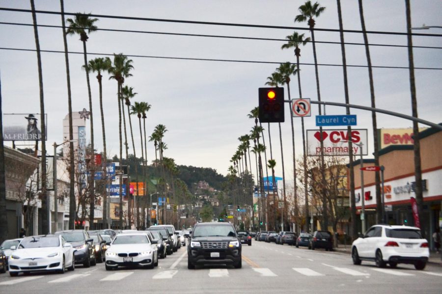 Palm trees line both sides of the street on Ventura Boulevard and Laurel Canyon intersection, where establishments such as Laurel Tavern and Mazza Modern Kitchen adapt to the rise in COVID-19 cases. Credit: Sandra Koretz/Chronicle