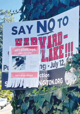 Save Weddington poster displayed in Studio City as an effort to campaign against River Park. 