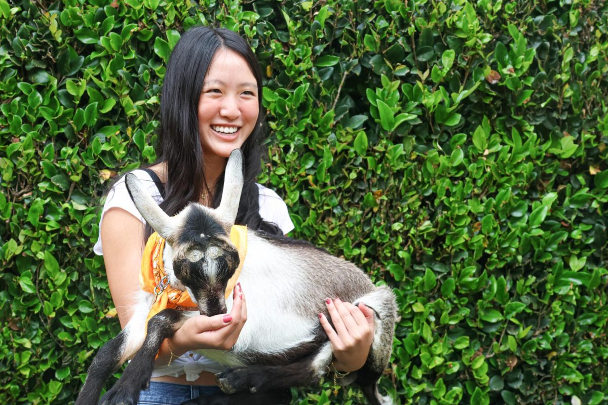 Grace Claire-Young 24 holds a baby goat. The goats were brought to campus by Prefect Council.