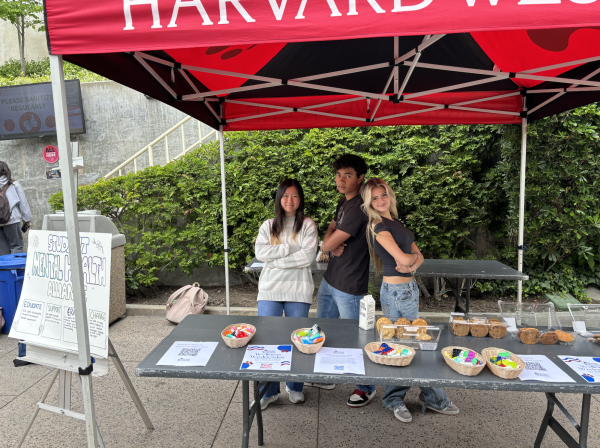 The Student Mental Health Alliance handed out information and fidget toys to help students with their mental well-being. The alliance members hope to host more events like the booth in the future.