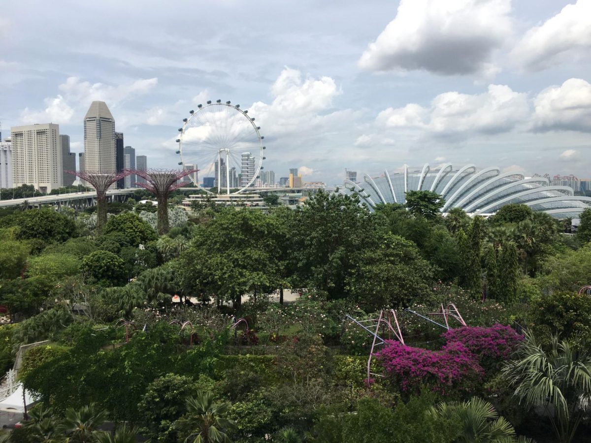 Singapore skyline at Gardens by the Bay