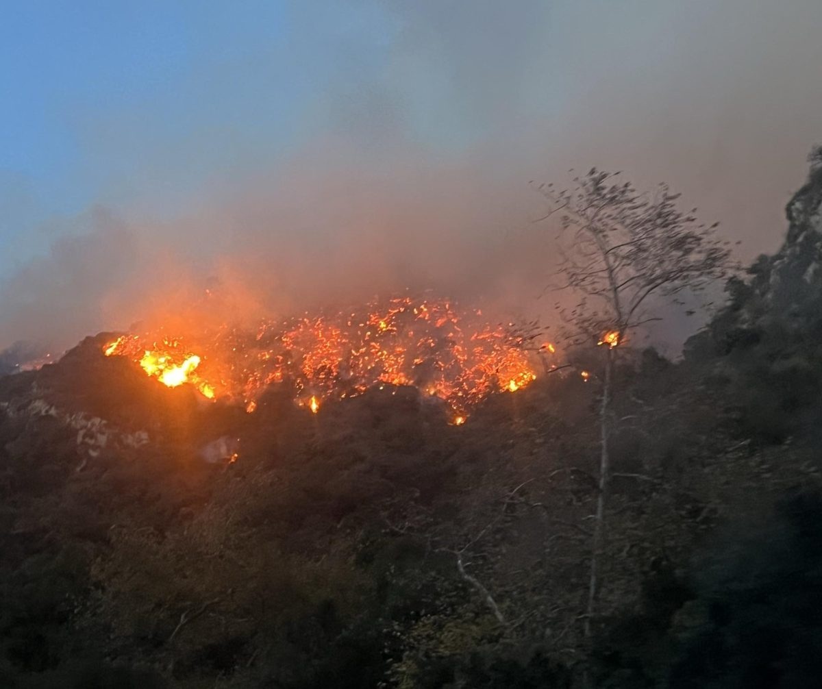 The Palisades fire burns through hills on Wednesday afternoon. Following the destruction of several wildfires, both student and parent groups are beginning initiatives to help those in the school community.