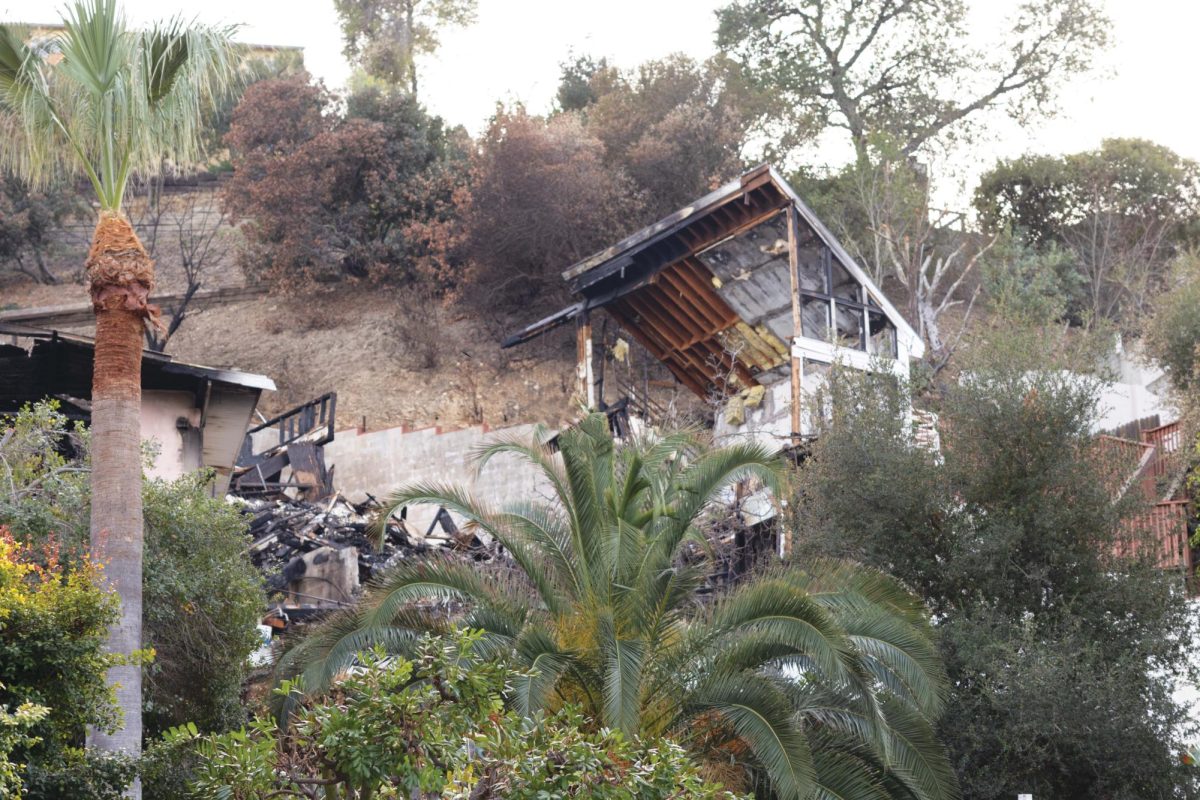 A structure fire broke out internally at 4132 Vanetta Place and spread up the Sunswept hillside to a neighboring four-story building.