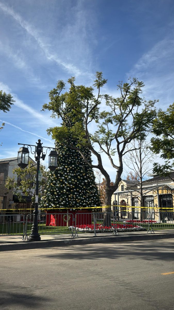 One year after LA fires, Palisades residents gather in remembrance.