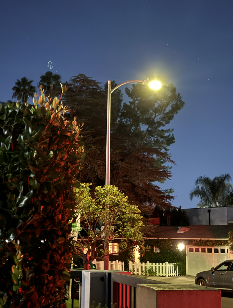 Turn down the lights: Illuminating the impact of light pollution on the natural world